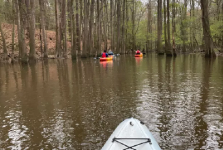 View from a canoe in a river with other paddlers ahead